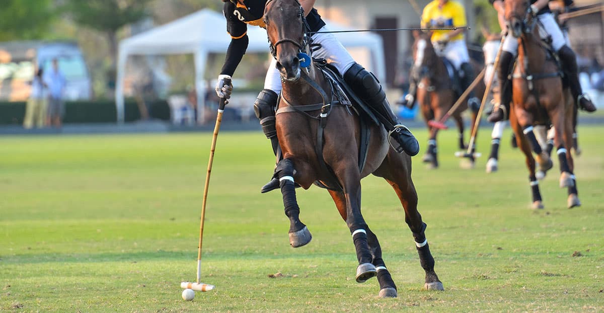 Social distance safe event planner Sullivan Group at the Houston Polo Club 